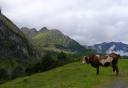 aubisque_kuh.jpg