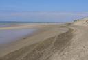 strand_ebbe.jpg