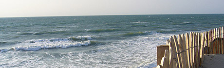 zaun_flut_140.jpg